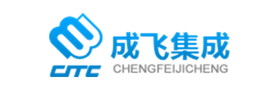 成飞集成