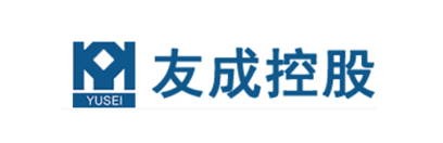 友成控股
